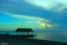 palmar de ocoa.jpg